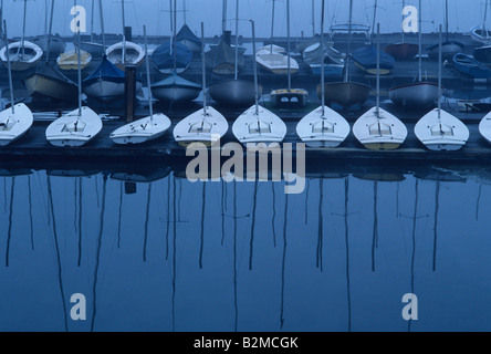 Sonnenaufgang über dem Lake Washington mit Segelbooten aufgereiht auf Dock im Nebel Seattle Washington State USA Stockfoto