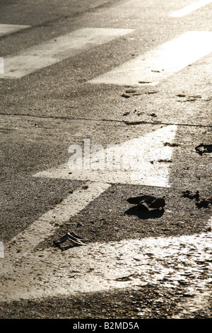 Verkehr-Richtungspfeil auf Fahrbahn in der Morgensonne Stockfoto