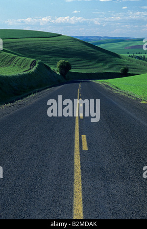 Asphaltierten kurvenreichen Straße im östlichen Washington windet sich durch grüne Felder Washington State USA Stockfoto