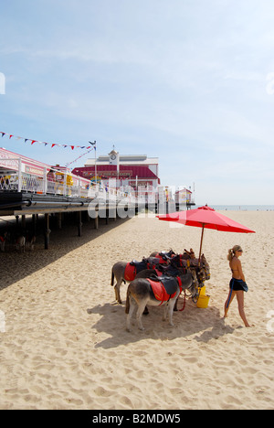 Eselreiten am Strand am Pier, Great Yarmouth Pleasure Beach, Great Yarmouth, Norfolk, England, Großbritannien Stockfoto