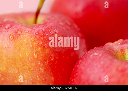Drei rote Äpfel mit Wassertropfen hautnah Stockfoto