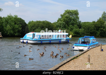 Cruise Boot am Fluss Bure, Horning, Norfolk Broads, Norfolk, England, Vereinigtes Königreich Stockfoto