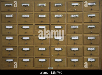 Hölzerne Karte Box Ablagesystem in Bibliothek Stockfoto