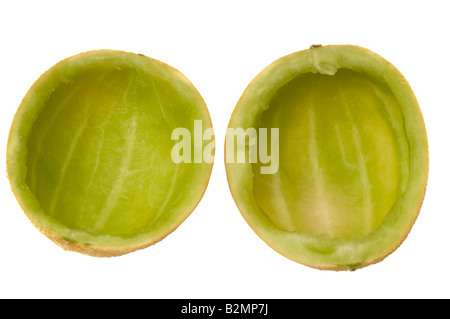 Halbierte Galia Melone gegessen und ausgehöhlt Stockfoto