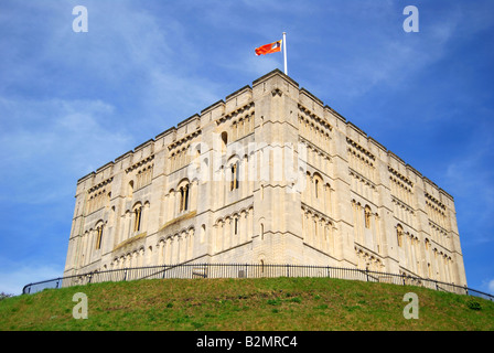 Norwich Schloss, Norwich, Norfolk, England, Vereinigtes Königreich Stockfoto