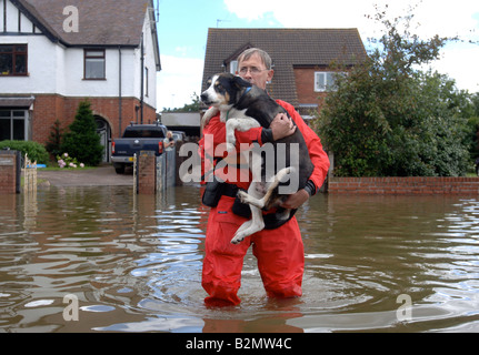 EINE RSPCA FLUT RETTUNG OFFIZIER TRÄGT EIN HUND IN EINER ÜBERFLUTETEN STRAßE WO HÄUSER SIND DURCH HOCHWASSER ABGESCHNITTEN WORDEN IN TEWKESBUR Stockfoto