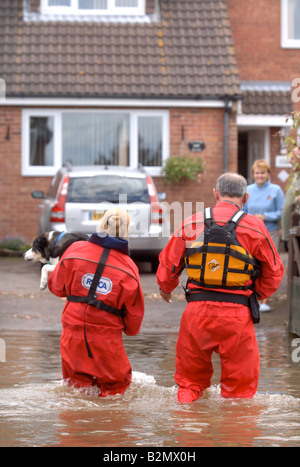 EINE RSPCA FLUT RETTUNG OFFIZIER TRÄGT EIN HUND IN EINER ÜBERFLUTETEN STRAßE WO HÄUSER SIND DURCH HOCHWASSER ABGESCHNITTEN WORDEN IN TEWKESBUR Stockfoto