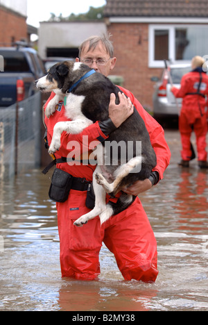 EINE RSPCA FLUT RETTUNG OFFIZIER TRÄGT EIN HUND IN EINER ÜBERFLUTETEN STRAßE WO HÄUSER SIND DURCH HOCHWASSER ABGESCHNITTEN WORDEN IN TEWKESBUR Stockfoto