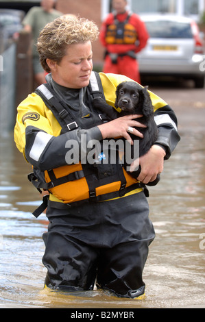 EINE RSPCA FLUT RETTUNG OFFIZIER TRÄGT EIN HUND IN EINER ÜBERFLUTETEN STRAßE WO HÄUSER SIND DURCH HOCHWASSER ABGESCHNITTEN WORDEN IN TEWKESBUR Stockfoto