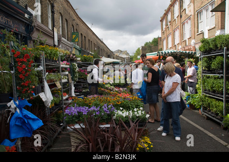 Columbia Road Sonntag Blume Markt Hackney Road East London GB UK Stockfoto