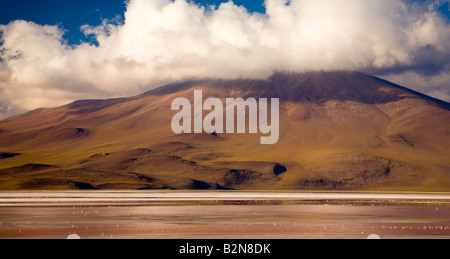 Bolivien südlichen Altiplano Laguna Colorada Flamingos Herde auf die Laguna Coloroda sonst wissen, wie die farbigen See Stockfoto