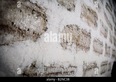 Nahaufnahme einer Salz Wand in einem Salz-Hotel in dem Salzsee Salar de Uyuni in Bolivien. Stockfoto
