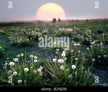 GB - SOMERSET: Wandern auf den Mendip Hills Stockfoto