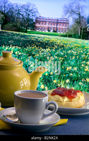 Cream Tea UK Picknicktisch in üppigem Feld von Frühlings Narzissen Gelände von typisch englischen Herrenhäusern, England, Großbritannien Stockfoto