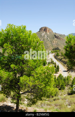 Blick von der Straße oberhalb der Embalse Del Carcabo. Segura-Fluss, Regionalpark, Murcia, Spanien Stockfoto