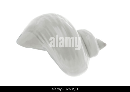 & Schwarz-weiß Bild eines polierten Seashell oder Wellhornschnecke Shell auf einem weißen Hintergrund Stockfoto