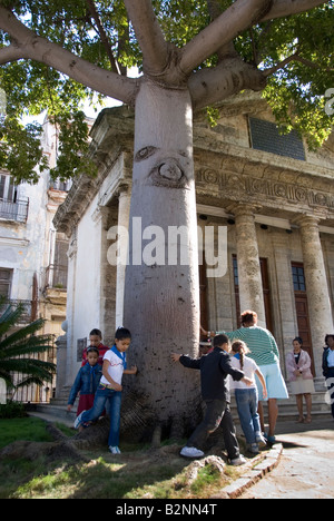 Kubaner feiern Jahrestag der ersten Masse und Stadtrat Spaziergang durch den berühmten Baum von El Templete der dorischen. Havanna Stockfoto