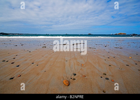 Kanalinseln Guernsey Vazoner Bucht bei Niedrigwasser Westküste Stockfoto