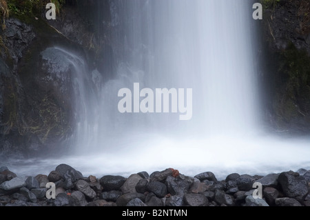 Dawson Falls auf der Seite Mt Taranaki Egmont National Park Taranaki Nordinsel Neuseeland Stockfoto