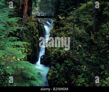 Brücke über Soleduck Wasserfälle mit Wasserfällen durch engen Canyon Olympic Peninsula Washington State USA Stockfoto