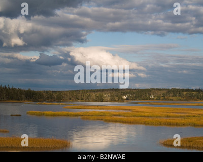 Salz-Sumpf Trail in der Nähe von Lawrencetown Strand, Nova Scotia, Kanada Stockfoto