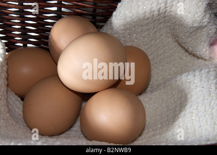 Halbes Dutzend Eiern in einem Geflecht Korb Stockfoto