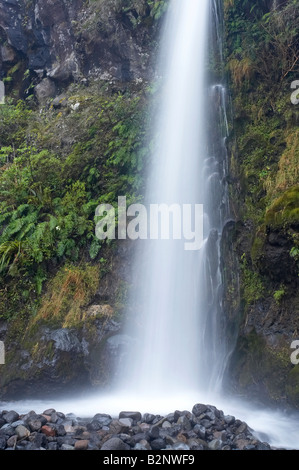 Dawson Falls auf der Seite Mt Taranaki Egmont National Park Taranaki Nordinsel Neuseeland Stockfoto