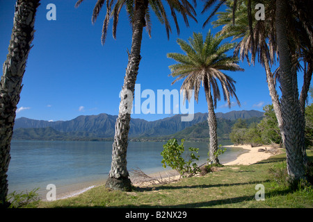 Kualoa Beach Park Kaneohe Bay Windward Oahu Hawaii Stockfoto