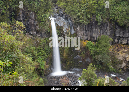 Dawson Falls auf der Seite Mt Taranaki Egmont National Park Taranaki Nordinsel Neuseeland Stockfoto