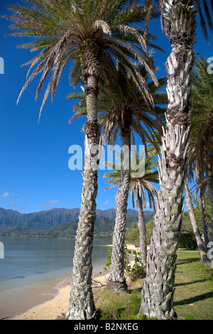 Kualoa Strandpark Windward Oahu Hawaii Stockfoto