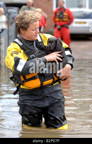 EINE RSPCA FLUT RETTUNG OFFIZIER TRÄGT EIN HUND IN EINER ÜBERFLUTETEN STRAßE WO HÄUSER SIND DURCH HOCHWASSER ABGESCHNITTEN WORDEN IN TEWKESBUR Stockfoto