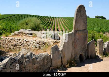 Historic bleibt ein riesiges Grab, "Coddu Vecchiu", neben einem Weinberg in Sardinien Stockfoto