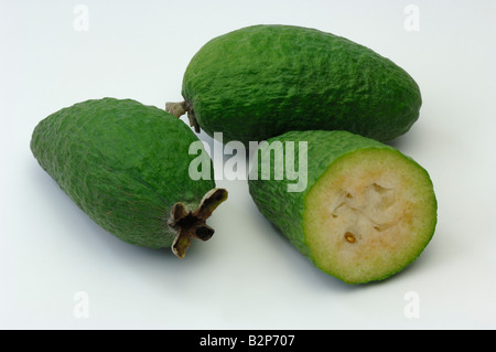 Feijoa, Ananas Guave, Guavasteen (Acca Sellowiana, Feijoa Sellowiana), Obst, Studio Bild Stockfoto