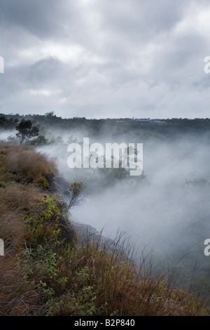 Die dampfenden Bluff am Rande des Kilauea Caldera Hawaii Volcanoes National Park Big Island Hawaii USA Stockfoto