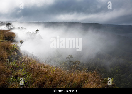 Die dampfenden Bluff am Rande des Kilauea Caldera Hawaii Volcanoes National Park Big Island Hawaii USA Stockfoto