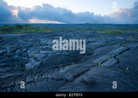 Alten gehärtet Lavastrom von Kilauea Vulkan Puna Region Big Island Hawaii USA Stockfoto