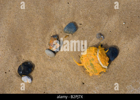 Nahaufnahme von Kieselsteinen und Tennisball auf sandigen Strand bei Cromer Stockfoto