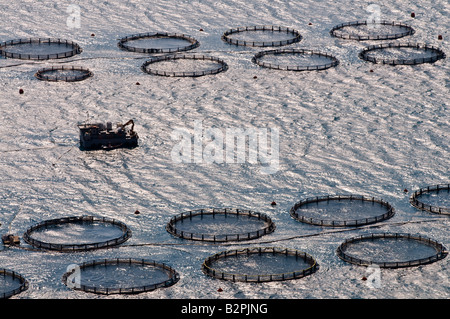 Fischzucht in den Golf von Argostoli Kefalonia Griechenland Stockfoto