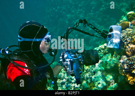 Mädchen Woman She Taucher Unterwasser-Fotografen fotografieren Kamera kleine kompakte engen Taucher Tauchen rosa lila Lila lila Silber Stockfoto