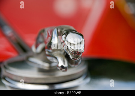 Nahaufnahme von einem Jaguar Maskottchen auf eine rote Markierung 4 von 1945-1949 Stockfoto