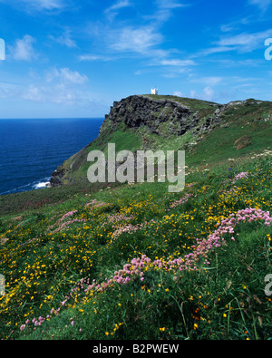 Willapark Aussichtspunkt mit Blick auf den Atlantik und Boscastle Hafen auf der North Cornwall Küste von Forrabury Common, Boscastle, Cornwall, England Stockfoto