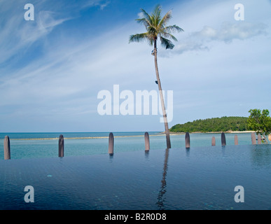 einsamer Kokospalme gesehen einen Infinity Edge Pool auf der Insel Koh Samui in Thailand Stockfoto