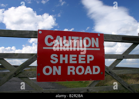 Vorsicht Schafe auf der Straße Warnung Zeichen North Yorkshire Moors Vereinigtes Königreich Stockfoto