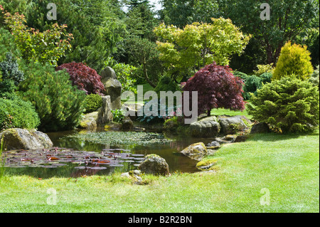 Splitt-Stein Felsen Sträucher Bäume und Teich im Garten-Design von Bahaa Seedhom North Yorkshire England Mai Stockfoto