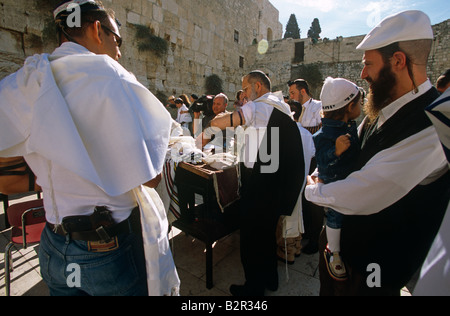Orthodoxe Juden an der Klagemauer in Jerusalem. Stockfoto