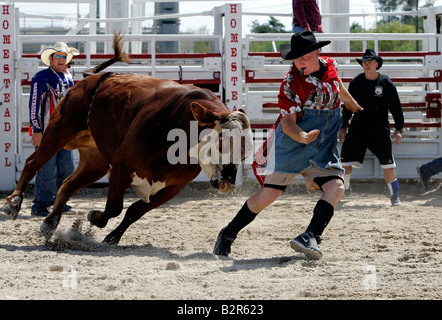 US-Gehöft Sankey s Schule Bullriding Rodeo einem tobenden Stier läuft nach der Torero Foto GERRIT DE HEUS Stockfoto