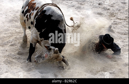 US-Gehöft Sankey s Rodeo Schule A Cowboy wird von einem Stier Foto GERRIT DE HEUS angegriffen Stockfoto