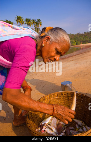 Frauen sortieren fangen, Agonda Beach, Süd-Goa, Indien, Asien Stockfoto