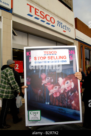 Protest von Compassion in World Farming außerhalb Tesco Supermarkt gegen Ei-Produktion von Käfig Hennen, London, UK Stockfoto