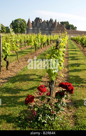 Weinbergen / Weingut Chateau de Monbazillac in der Nähe von Bergerac, Dordogne, Frankreich Stockfoto